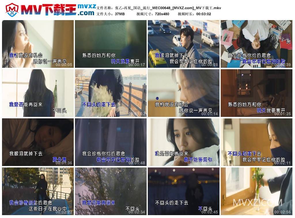 张乙-再见_国语_流行_MEC00648